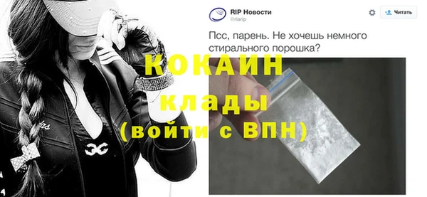 индика Киреевск