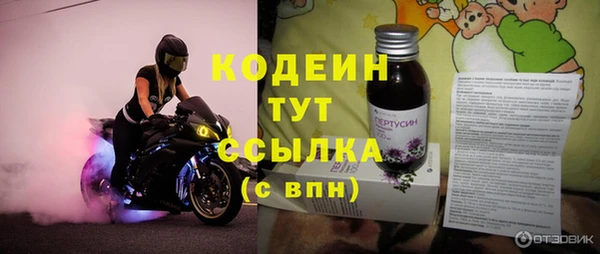 индика Киреевск