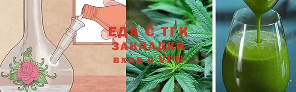 индика Киреевск