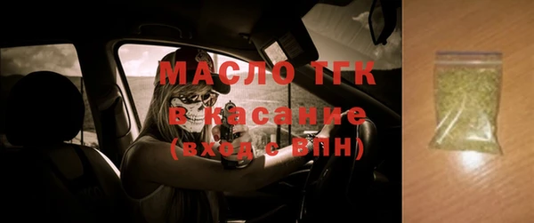 индика Киреевск