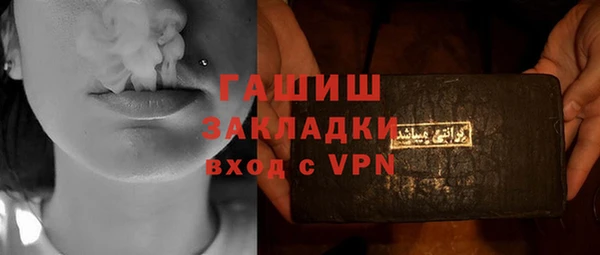 индика Киреевск