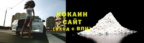 индика Киреевск