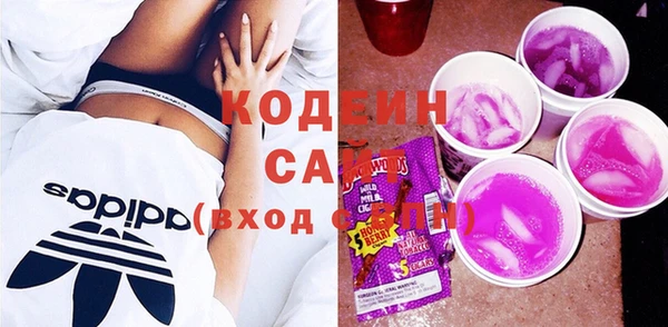 индика Киреевск