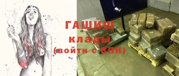 индика Киреевск