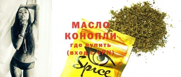 индика Киреевск